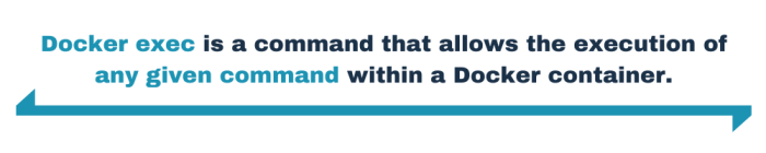 Docker exec is a command that allows the execution…