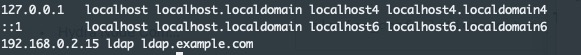 /etc/hosts showing a localhost entry and a static mapping for an external service