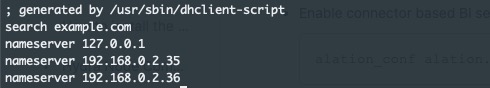 resolv.conf showing a search domain and three nameserver entries, the first being 127.0.0.1