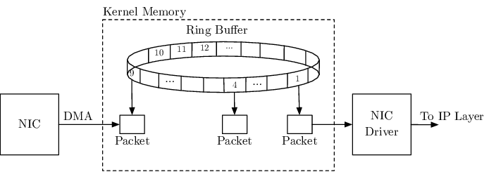 Exported image